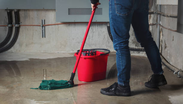 Best Commercial water damage restoration  in Sheboygan, WI