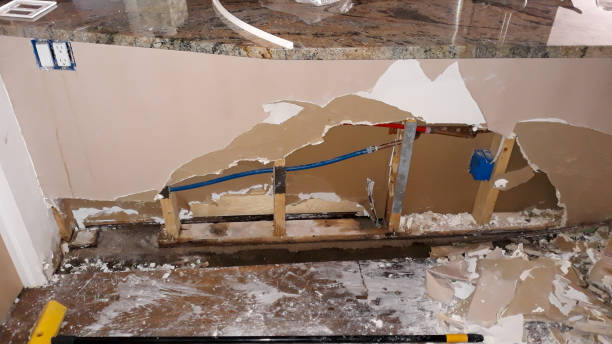 Best Fire Damage Restoration  in Sheboygan, WI