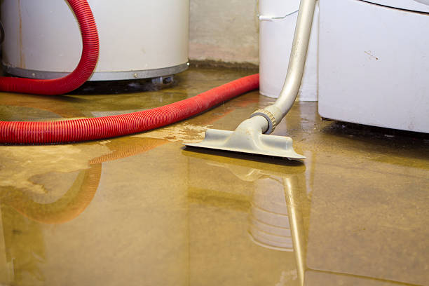Best Carpet water damage restoration  in Sheboygan, WI