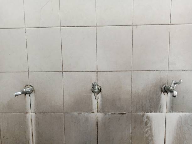 Best Ceiling water damage repair  in Sheboygan, WI