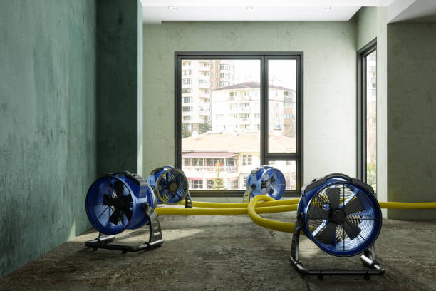 Best Flood restoration services  in Sheboygan, WI